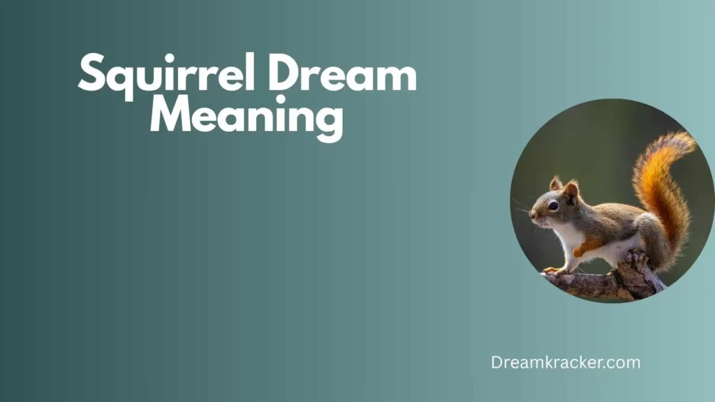 General Meaning of Squirrel Dream