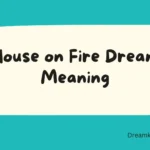 House on Fire Dream Meaning