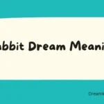 Rabbit Dream Meaning