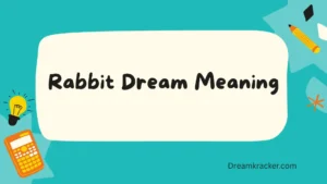 Rabbit Dream Meaning