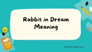 Rabbit in Dream Meaning