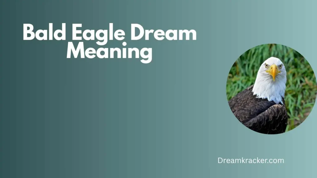 Spiritual Meaning of Bald Eagle Dream
