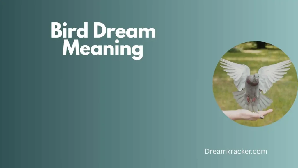 Spiritual Meaning of Bird Dream