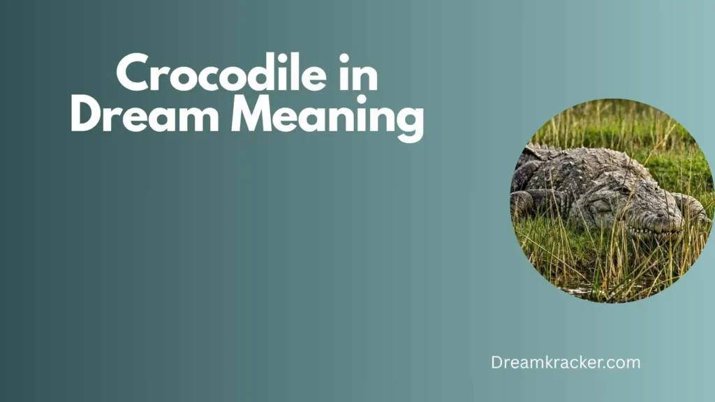 Spiritual Meaning of Crocodile in Dream