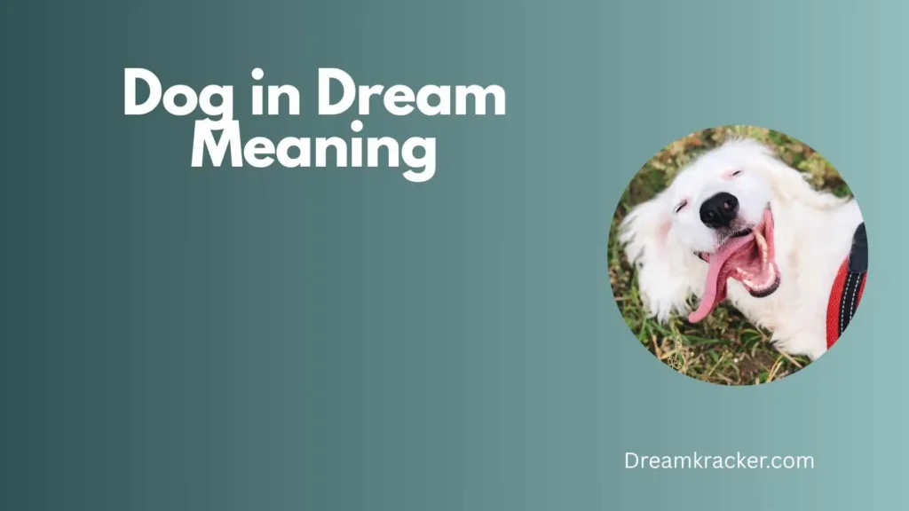 Spiritual Meaning of Dog in Dream