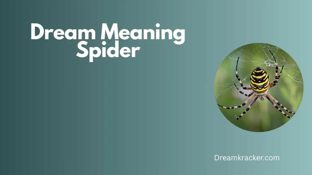 Spiritual Meaning of Dream Meaning Spider