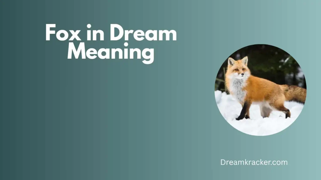 Spiritual Meaning of Fox in Dream