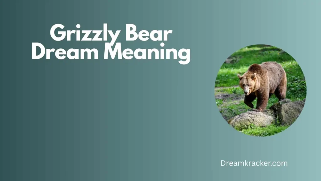 Spiritual Meaning of Grizzly Bear Dream