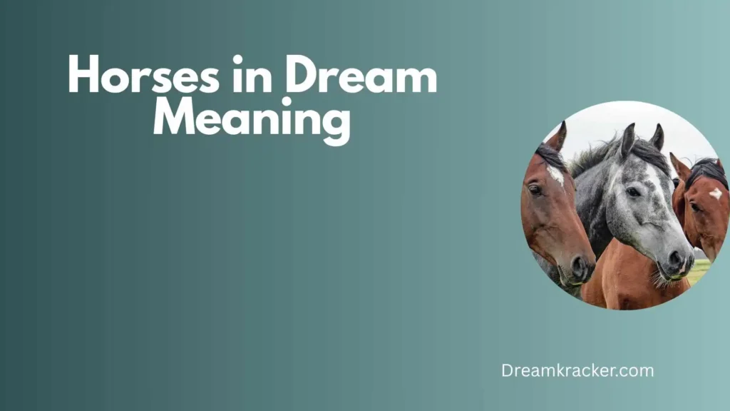 Spiritual Meaning of Horses in Dream
