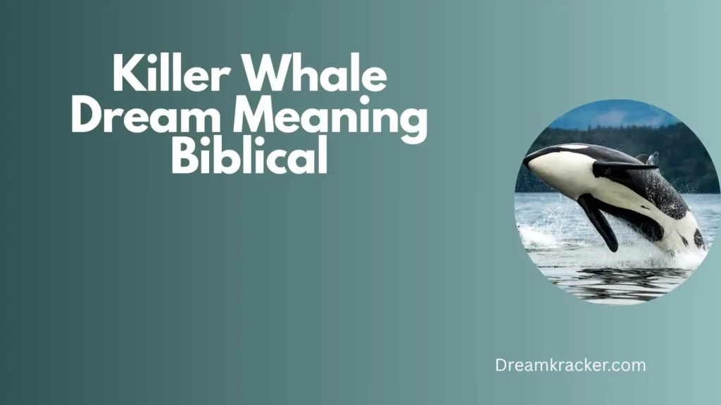 Spiritual Meaning of Killer Whale Dream