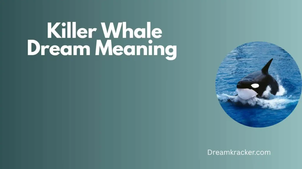 Spiritual Meaning of Killer Whale Dream