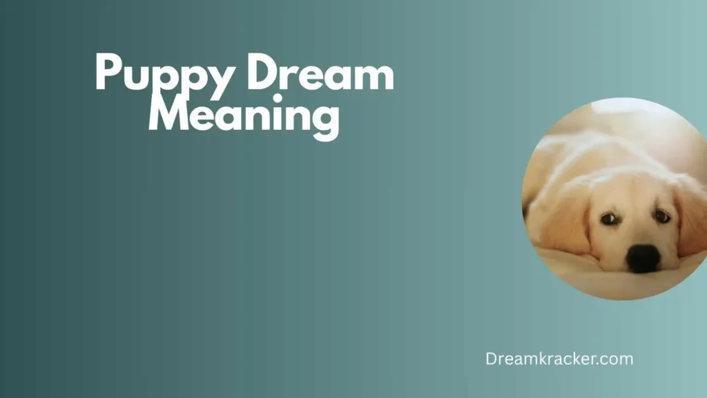 Spiritual Meaning of Puppy Dream