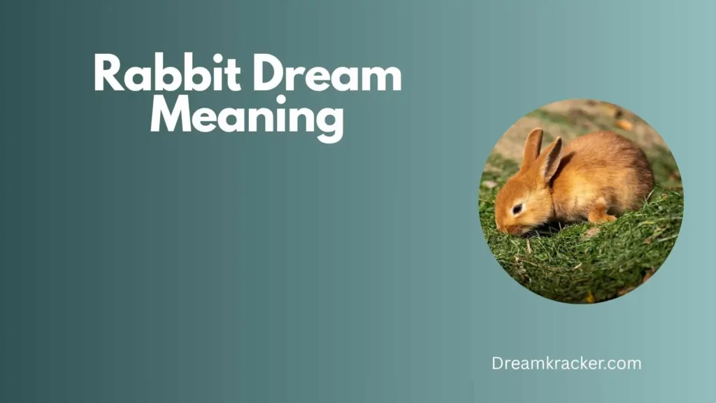 Spiritual Meaning of Rabbit Dream