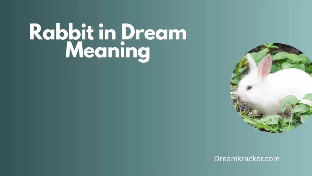 Spiritual Meaning of Rabbit in Dream
