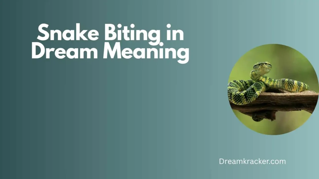 Spiritual Meaning of Snake Biting in Dream