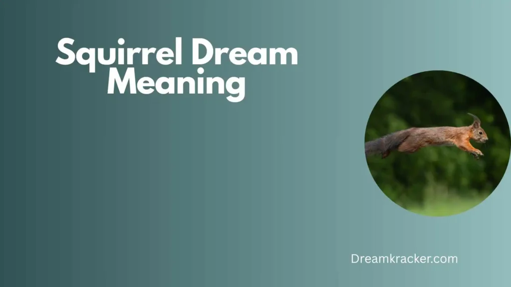 Spiritual Meaning of Squirrel Dream