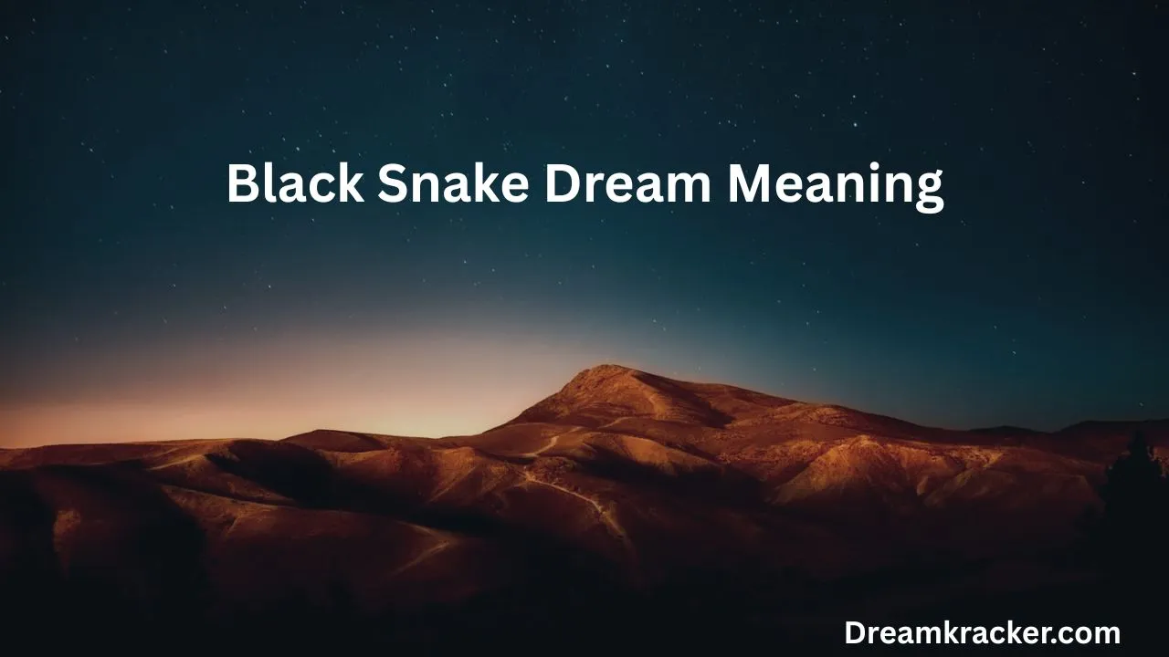 Black Snake Dream Meaning