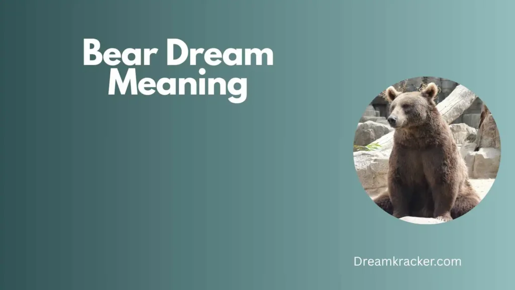 General Meaning of Bear Dream
