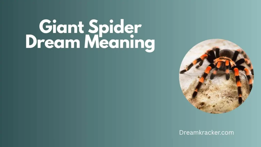 General Meaning of Giant Spider 