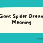 Giant Spider Dream Meaning