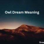 Owl Dream Meaning