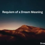 Requiem of a Dream Meaning