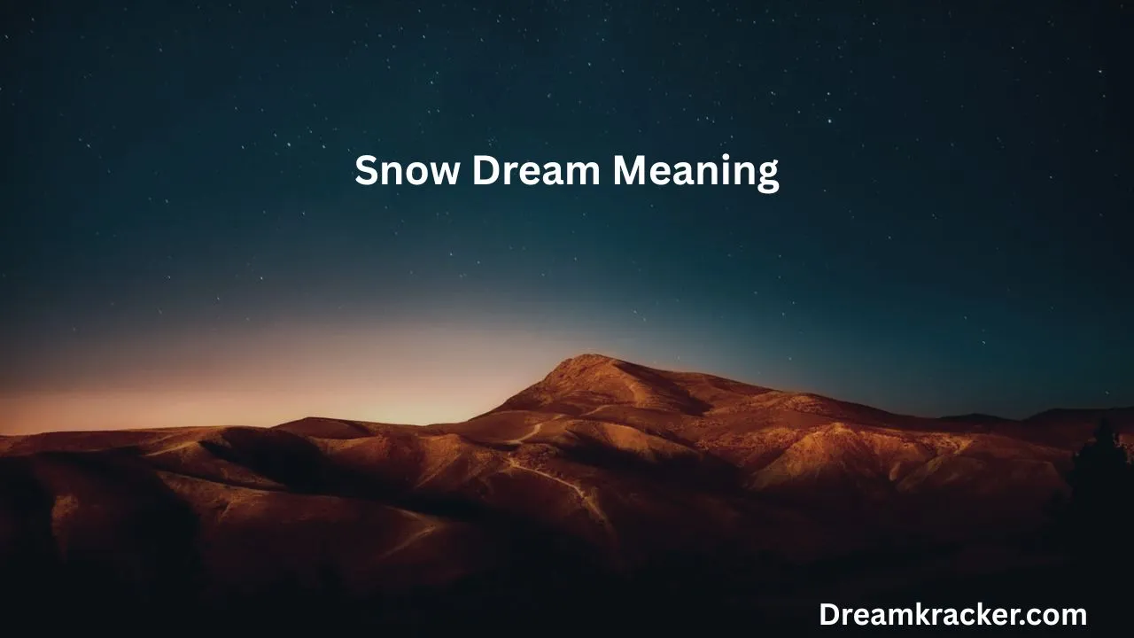 Snow Dream Meaning