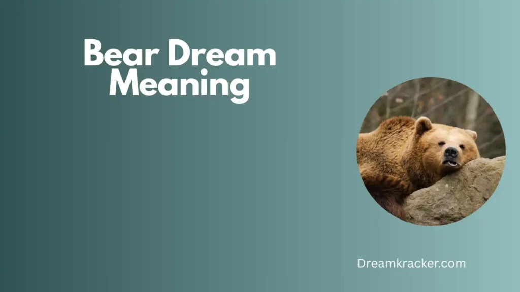 Spiritual Meaning of Bear Dream