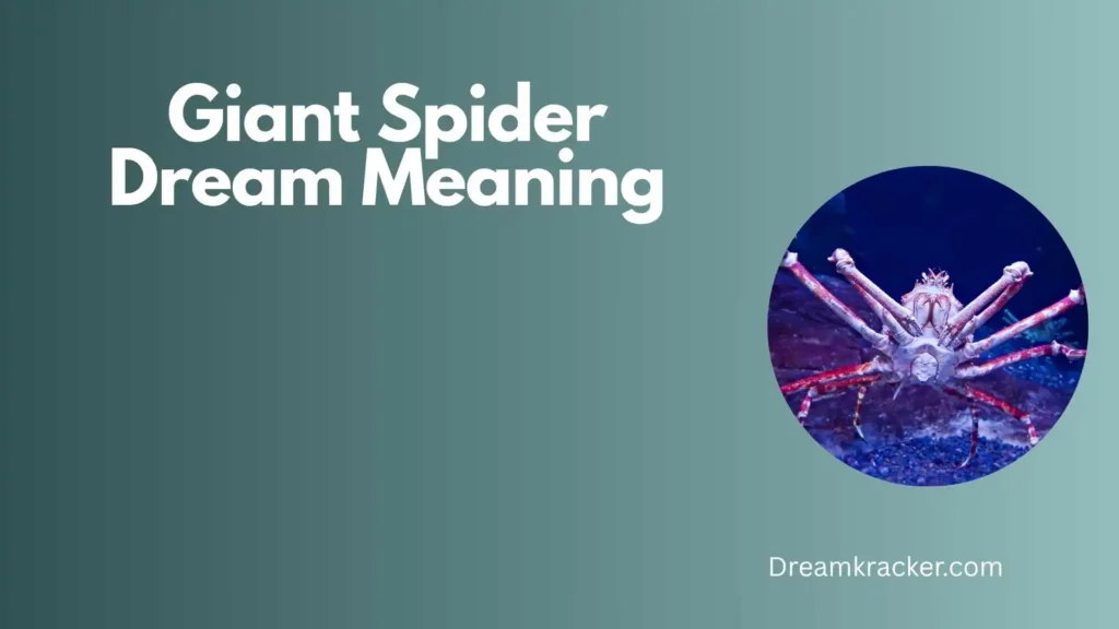Spiritual Meaning of Giant Spider