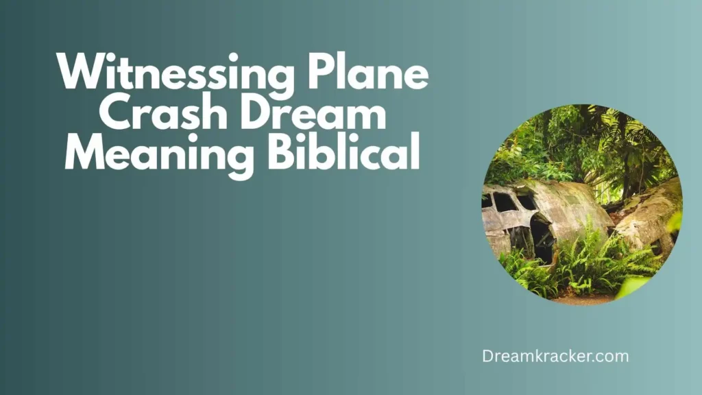 Spiritual Meaning of Witnessing Plane